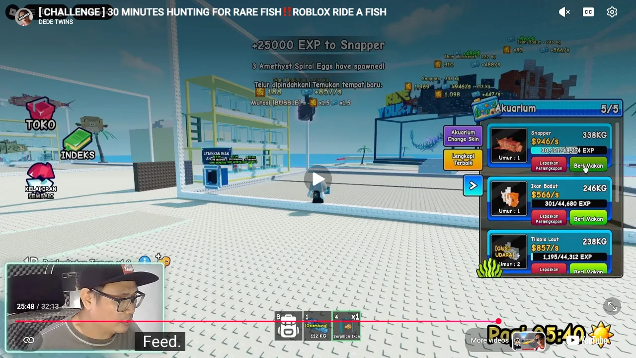 Recorded Ride A Fish aquarium panel after food adds EXP to a Snapper